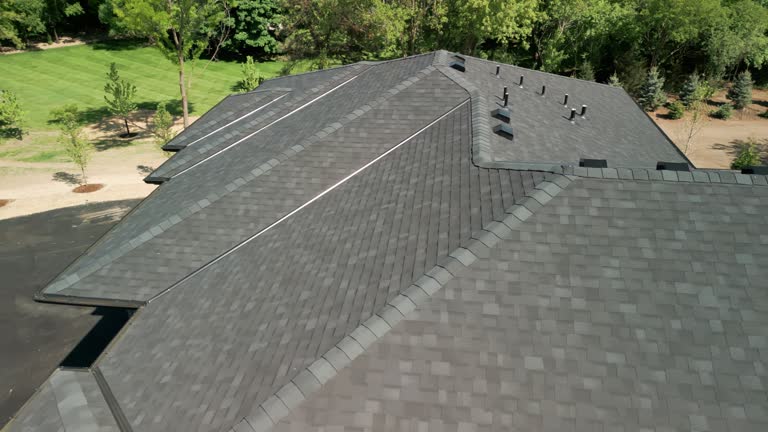 Best Skylight Installation and Repair  in Bismarck, MO